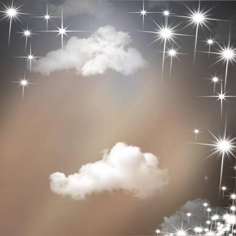 Meet your Posher, Donnette